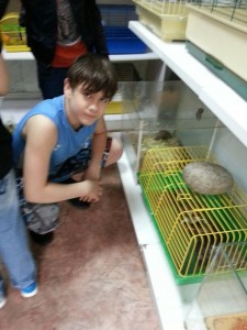 image-15-06-15-10_36